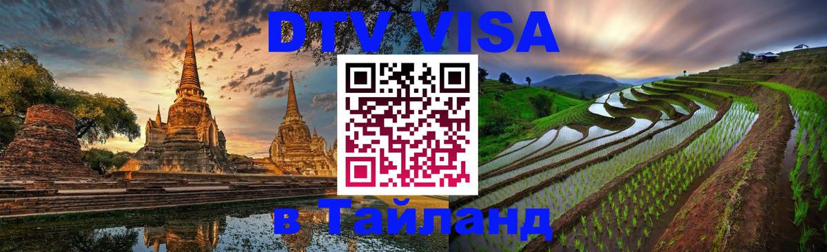Сколько стоит DTV виза — актуальные цены, оформление даже без документов - 20.11.2025 